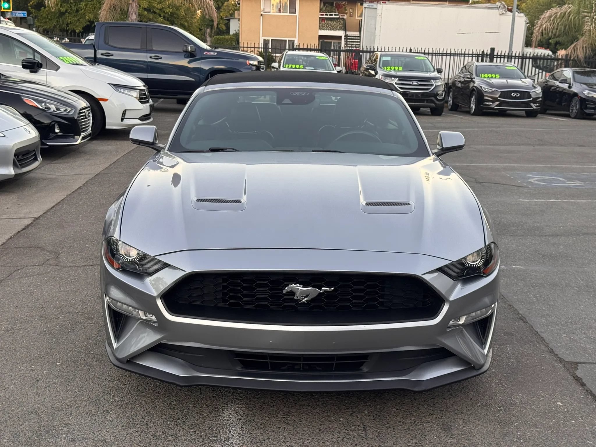 Used 2021 Ford Mustang Premium RWD image 9