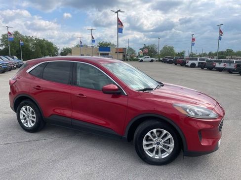 Used 2020 Ford Escape SE FWD image 2