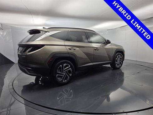 Used 2025 Hyundai Tucson Limited image 13