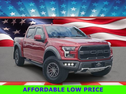 Used 2019 Ford F150 Raptor w/ Equipment Group 802A Luxury image 1