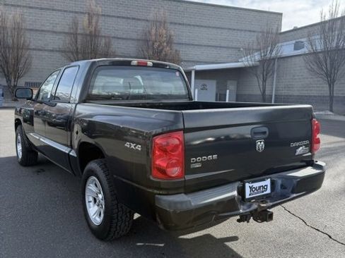 Used 2009 Dodge Dakota Big Horn w/ Extra Security Group image 4