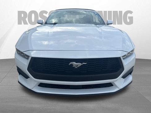 Used 2025 Ford Mustang Premium image 10