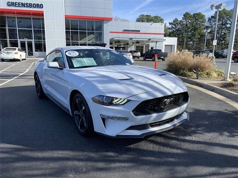 Used 2023 Ford Mustang EcoBoost w/ Equipment Group 101A image 2