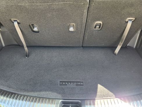 New 2025 Kia Telluride SX Prestige X-Line image 22