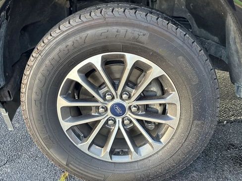 Used 2019 Ford F150 XLT w/ Equipment Group 302A Luxury AWD/4WD image 15