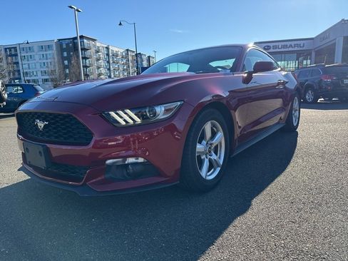 Used 2015 Ford Mustang Coupe image 3