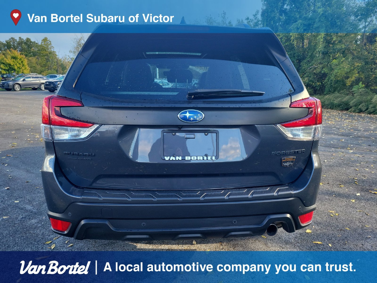 Certified 2023 Subaru Forester Wilderness AWD/4WD image 4