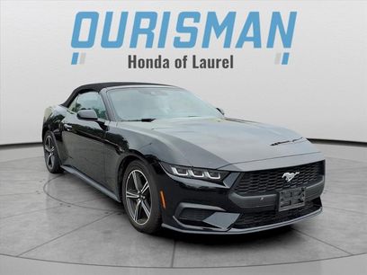 Used 2024 Ford Mustang Premium