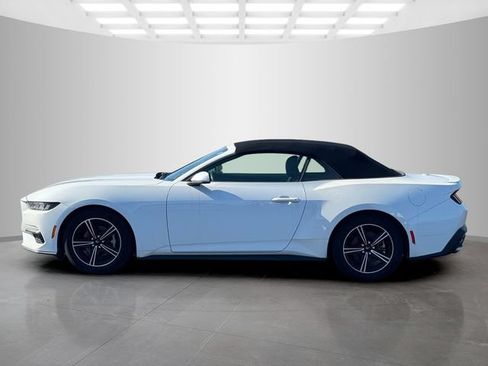 Used 2025 Ford Mustang Premium RWD image 4