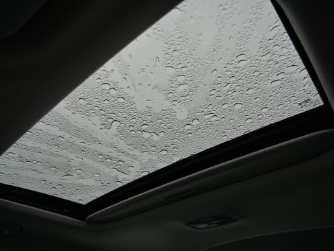 Certified 2022 Hyundai Elantra Limited w/ Preferred Accessory Package image 34