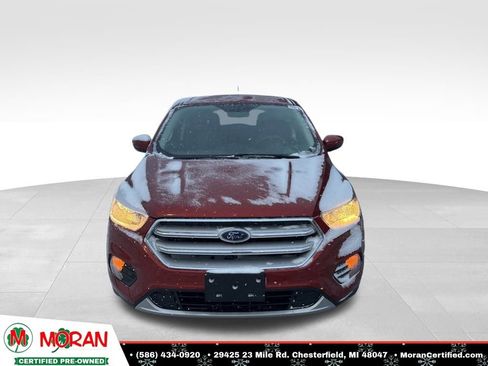 Used 2019 Ford Escape SE image 8