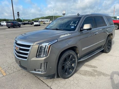 Used 2019 Cadillac Escalade Luxury AWD/4WD image 2