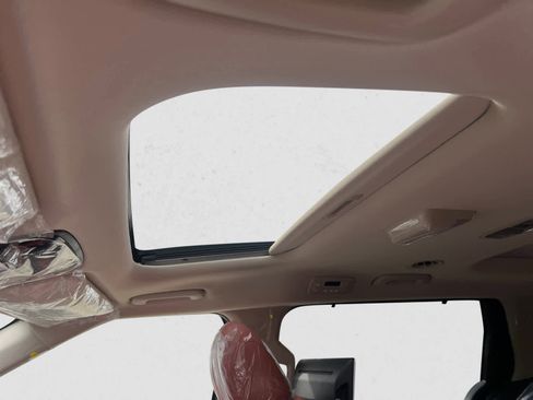 New 2026 Kia Carnival SX Prestige image 16