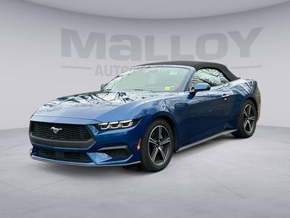 Used 2024 Ford Mustang Premium