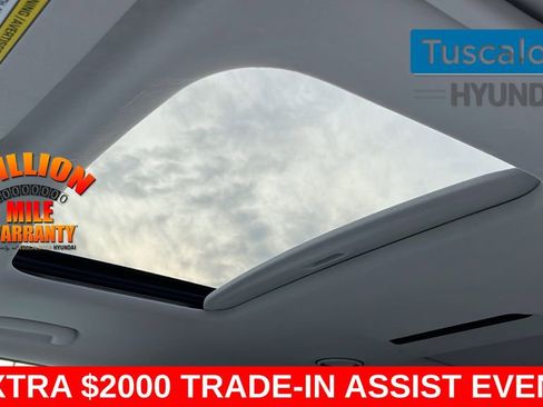 New 2026 Hyundai Palisade Calligraphy image 23