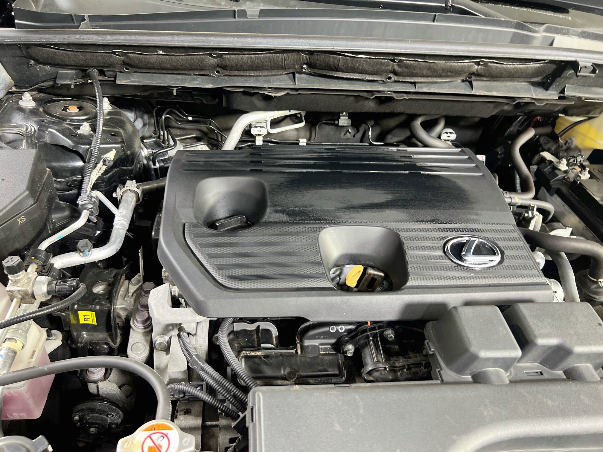 Used 2024 Lexus NX 250 AWD w/ Cold Area Package image 28