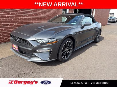 Used 2019 Ford Mustang Premium w/ Equipment Group 201A
