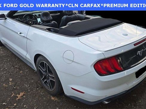 Certified 2022 Ford Mustang Premium w/ Equipment Group 201A image 6