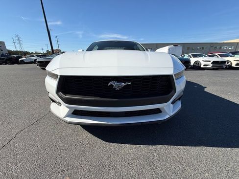 New 2026 Ford Mustang Coupe image 2