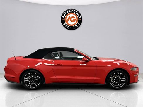 Used 2023 Ford Mustang Premium image 8