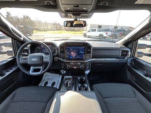 Used 2023 Ford F150 XLT w/ Equipment Group 302A High image 3