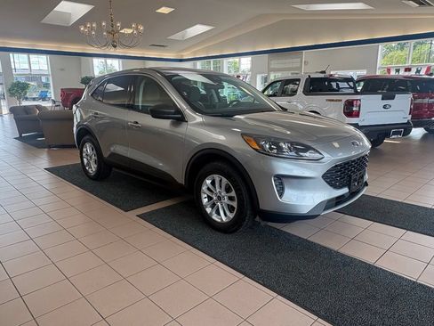 Used 2022 Ford Escape SE AWD/4WD image 5