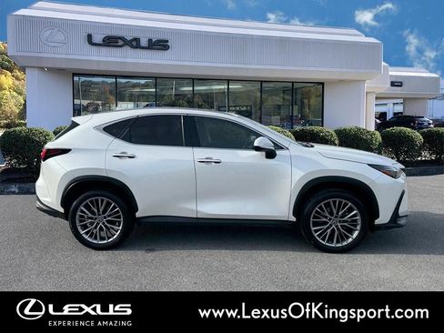 Used 2023 Lexus NX 350h AWD image 7