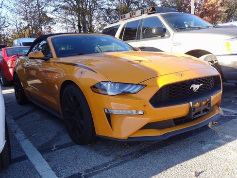 Certified 2019 Ford Mustang Premium w/ Equipment Group 201A image 1