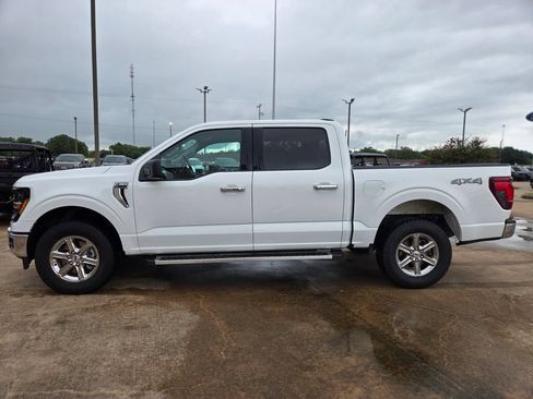 Used 2025 Ford F150 XLT w/ Equipment Group 301A Standard AWD/4WD image 8