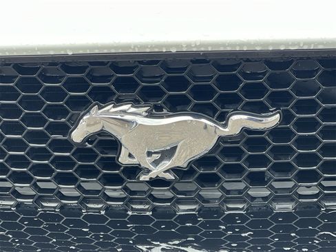 Used 2018 Ford Mustang GT Premium w/ Safe & Smart Package image 13