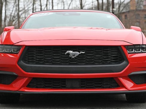 Used 2024 Ford Mustang Premium image 8