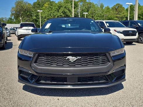 Used 2024 Ford Mustang Premium RWD image 3