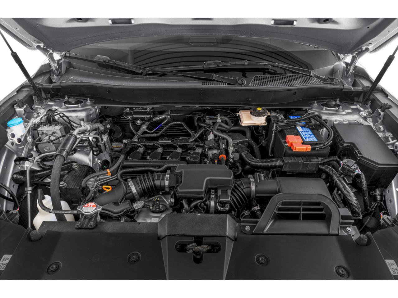 Used 2026 Honda CR-V EX-L image 7