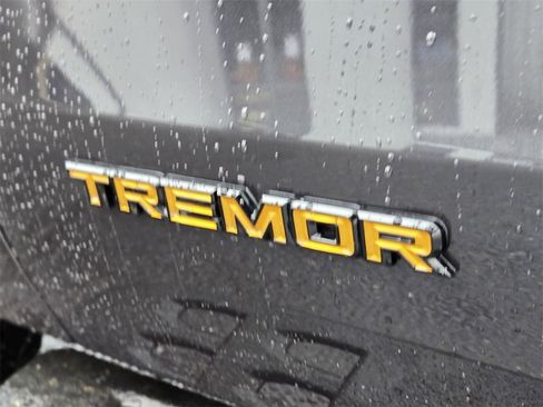 New 2025 Ford Expedition Tremor image 15