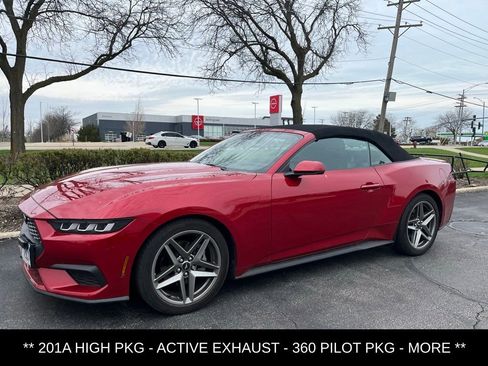 Used 2024 Ford Mustang Premium image 1