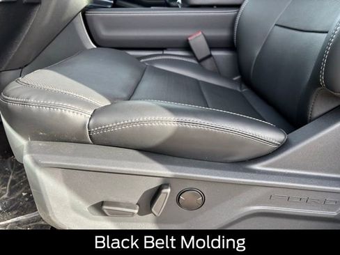 New 2026 Ford Expedition Platinum w/ Stealth Performance Package image 15