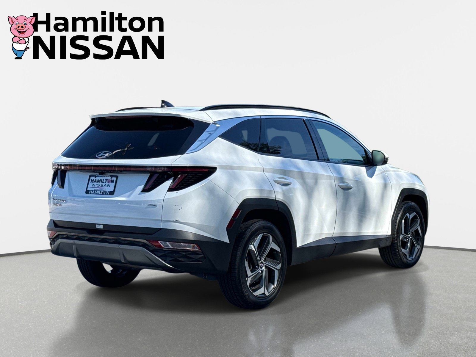 Used 2024 Hyundai Tucson Limited AWD/4WD image 2