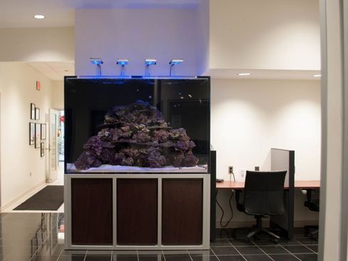 Used 2014 Ford F150 XLT w/ Equipment Group 302A Luxury image 25