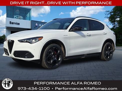 New 2026 Alfa Romeo Stelvio Sprint image 1