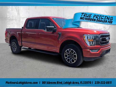 Used 2023 Ford F150 XLT w/ Equipment Group 302A High AWD/4WD image 1