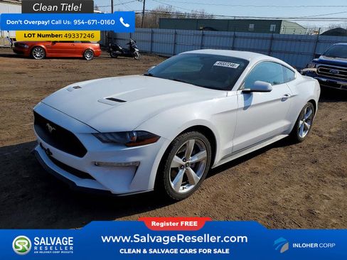 Used 2019 Ford Mustang Coupe w/ Equipment Group 101A image 1
