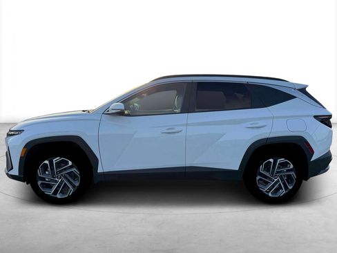 New 2026 Hyundai Tucson Limited image 3