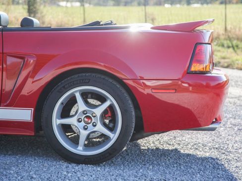 Used 1999 Ford Mustang Cobra RWD image 10