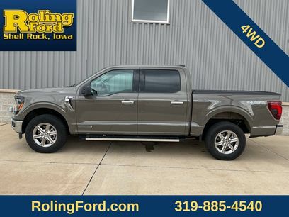 Used 2025 Ford F150 XLT w/ Equipment Group 301A Standard