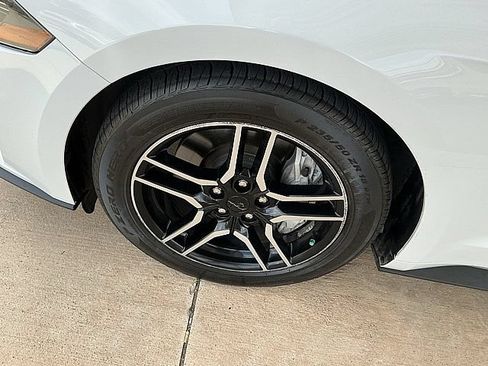 Used 2019 Ford Mustang GT Premium w/ Equipment Group 401A RWD image 9