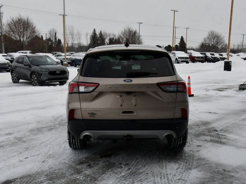 Used 2021 Ford Escape Titanium w/ Titanium Elite Package image 5