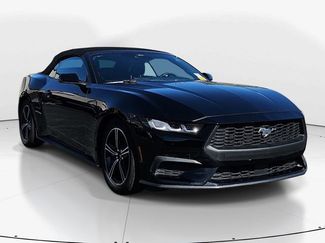 Used 2024 Ford Mustang Premium 360° Tour