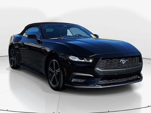 Used 2024 Ford Mustang Premium image 1