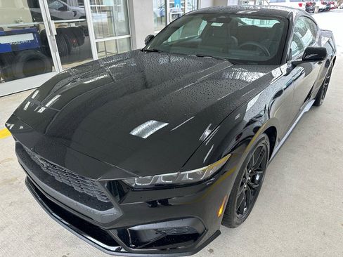 New 2026 Ford Mustang Coupe w/ Mustang Nite Pony Package image 3