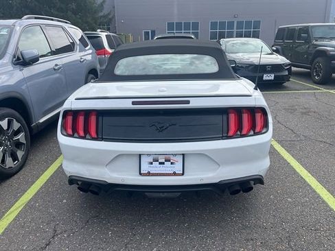Used 2023 Ford Mustang Premium w/ Equipment Group 201A image 5